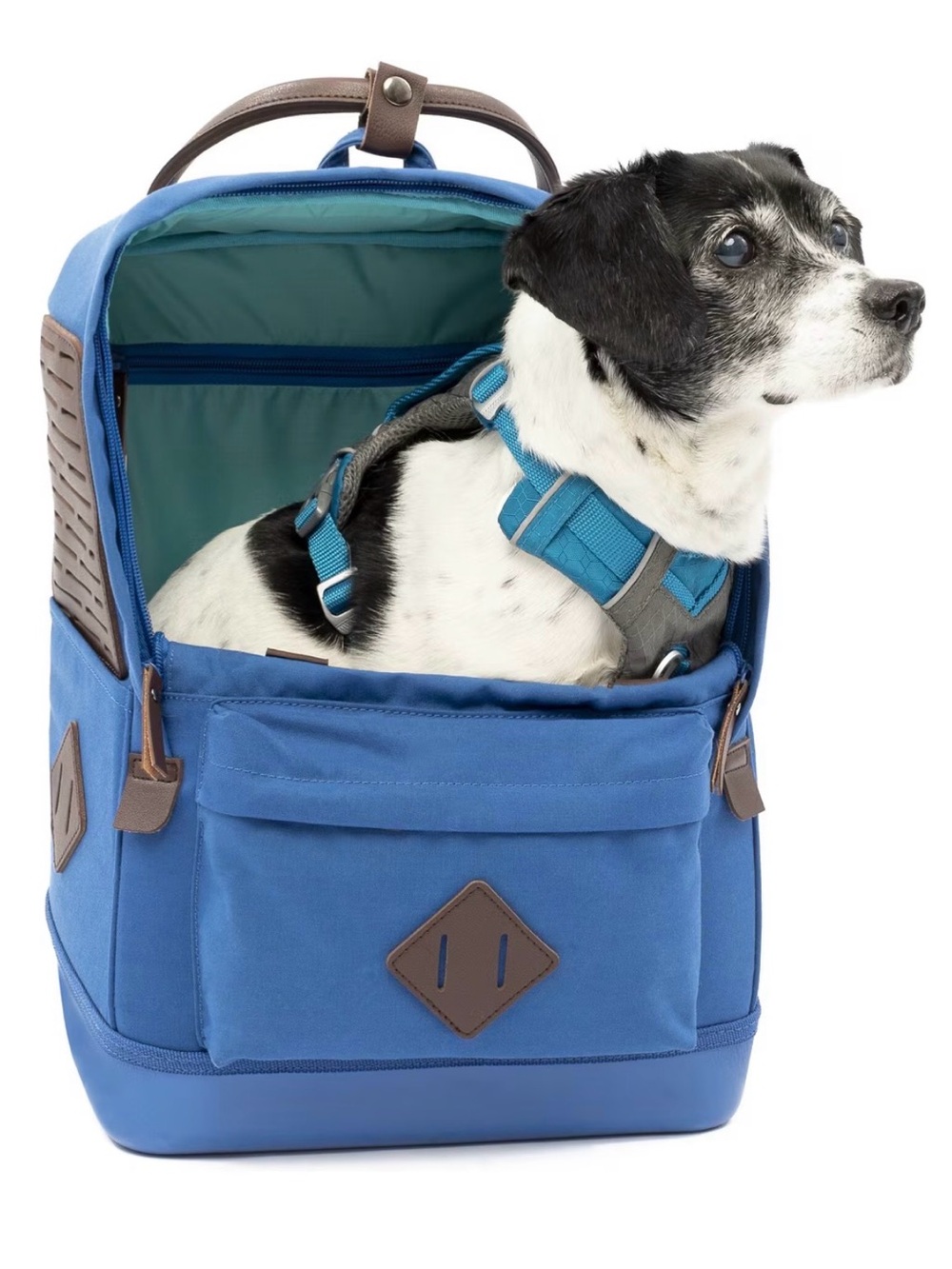 Kurgo Nomad Carrier Backpack - Blue - Up to 15 LBS